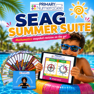 SEAG Summer Suite (Digital Support)